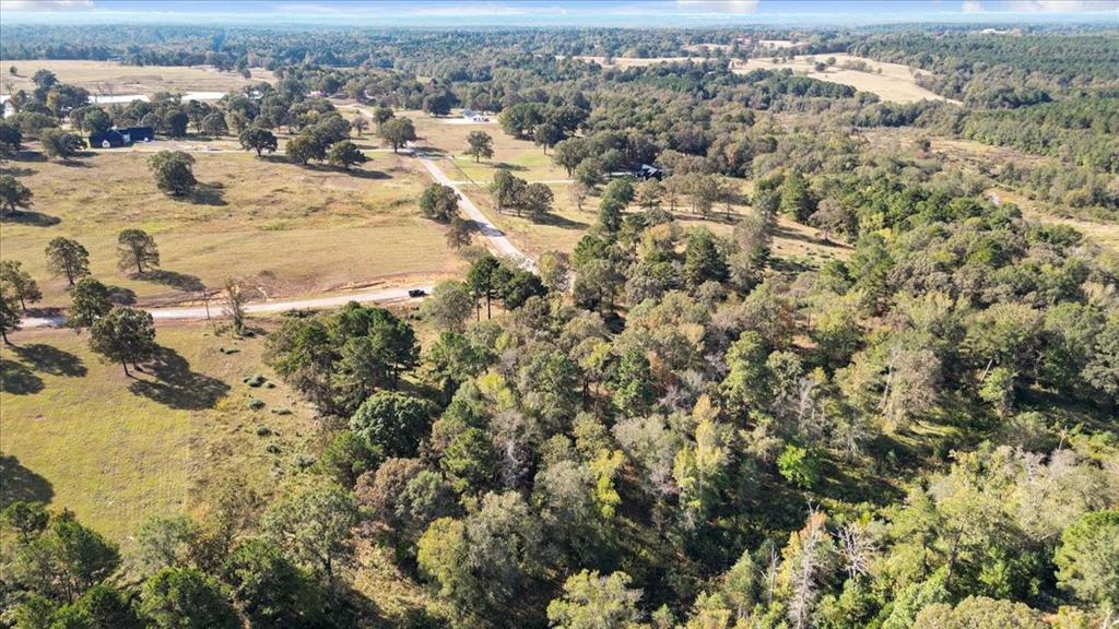 Tbd Private Road Big Sandy, TX 75755 - Photo 11 of 19 an aerial view of a houses with a street