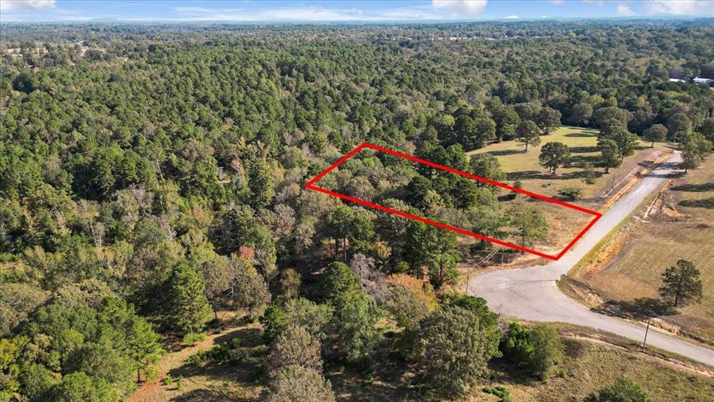 Tbd Private Road Big Sandy, TX 75755 - Photo 15 of 19 an aerial view of a houses with a yard