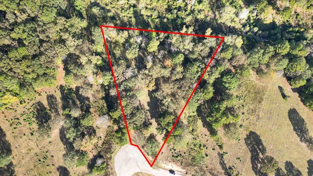 Tbd Private Road Big Sandy, TX 75755 - Photo 19 of 19