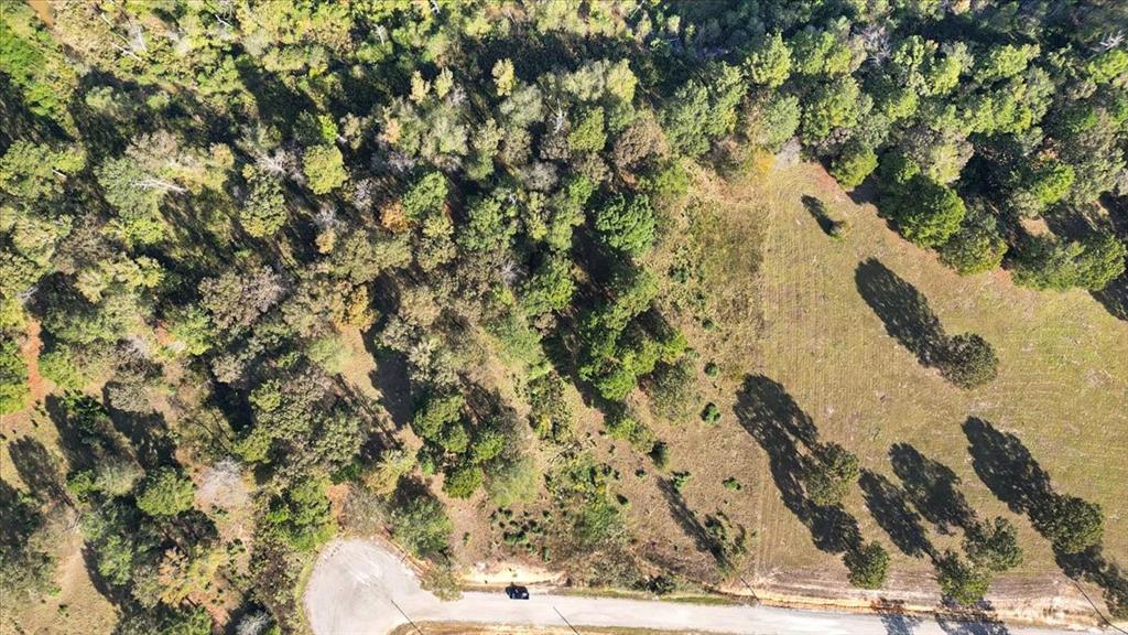 Tbd Private Road Big Sandy, TX 75755 - Photo 2 of 19 a view of a yard