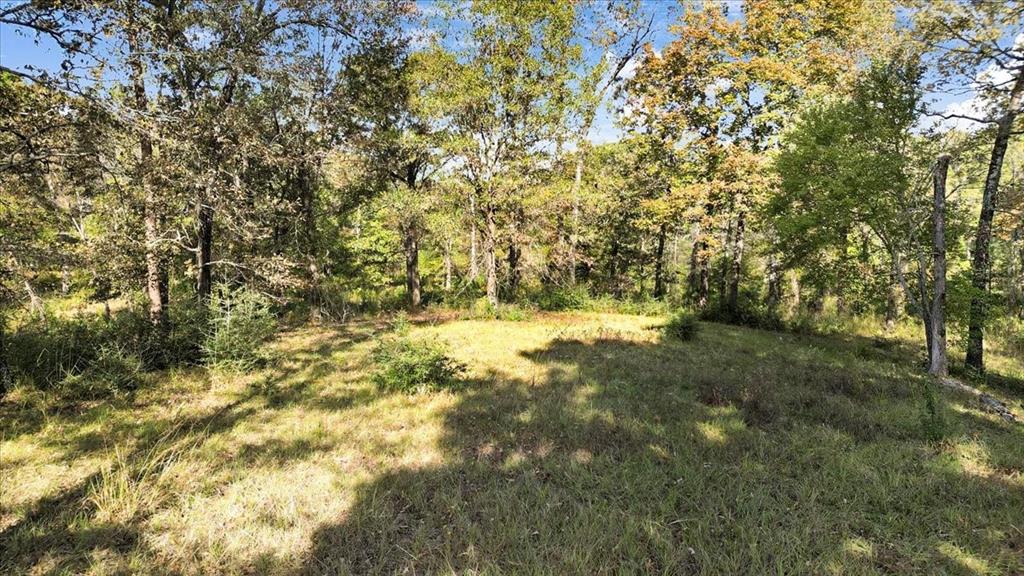 Tbd Private Road Big Sandy, TX 75755 - Photo 7 of 19 a view of yard covered with green space