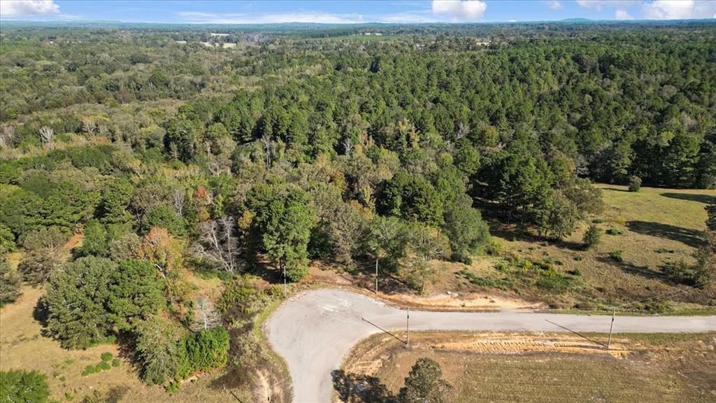 Tbd Private Road Big Sandy, TX 75755 - Photo 9 of 19 a view of a yard with a sink