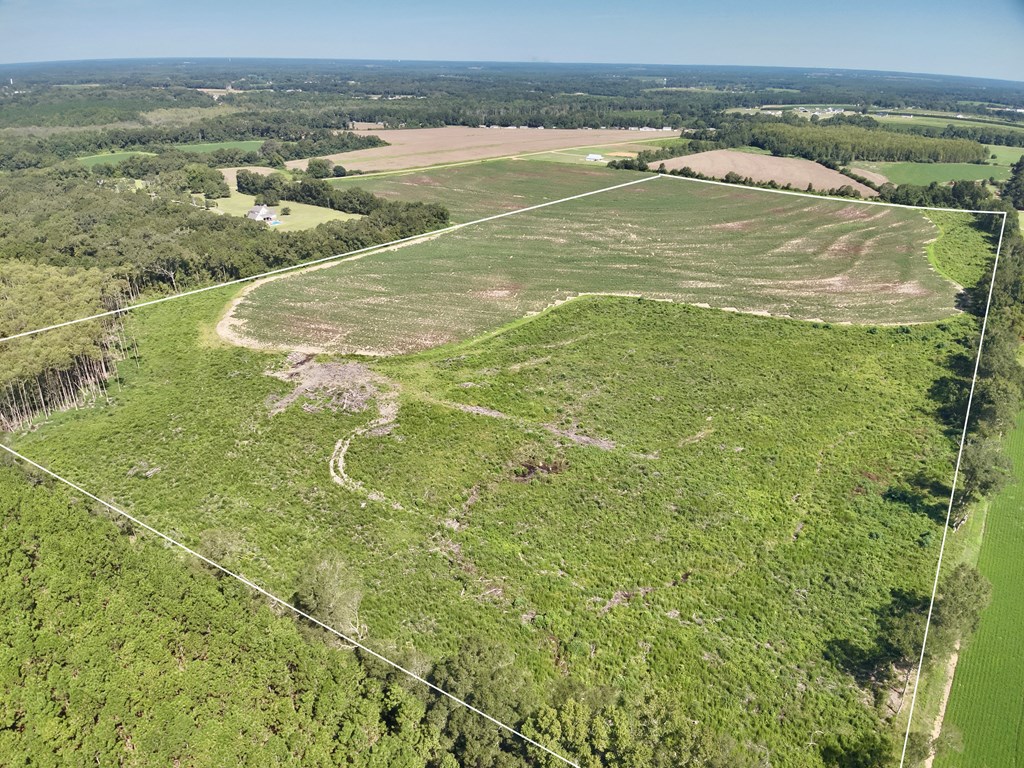 73-acres Shiver Road Daleville, AL 36322 - Photo 10 of 14