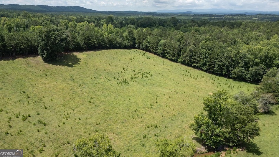 0 County Road 19 Heflin, AL 36264 - Photo 29 of 36
