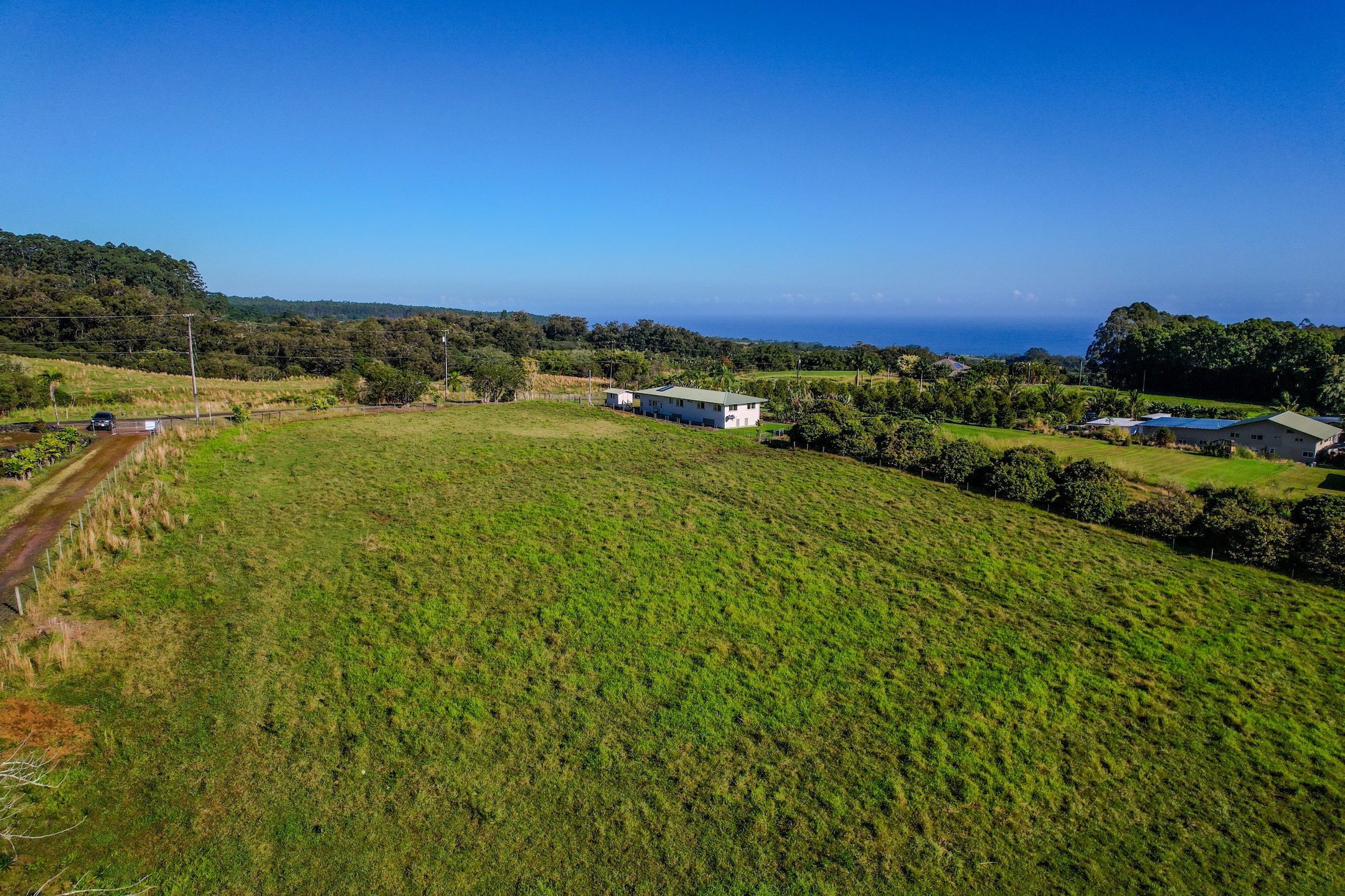 29-613 Lot Road Papaikou, HI 96781 - Photo 2 of 14 a view of a garden with an ocean