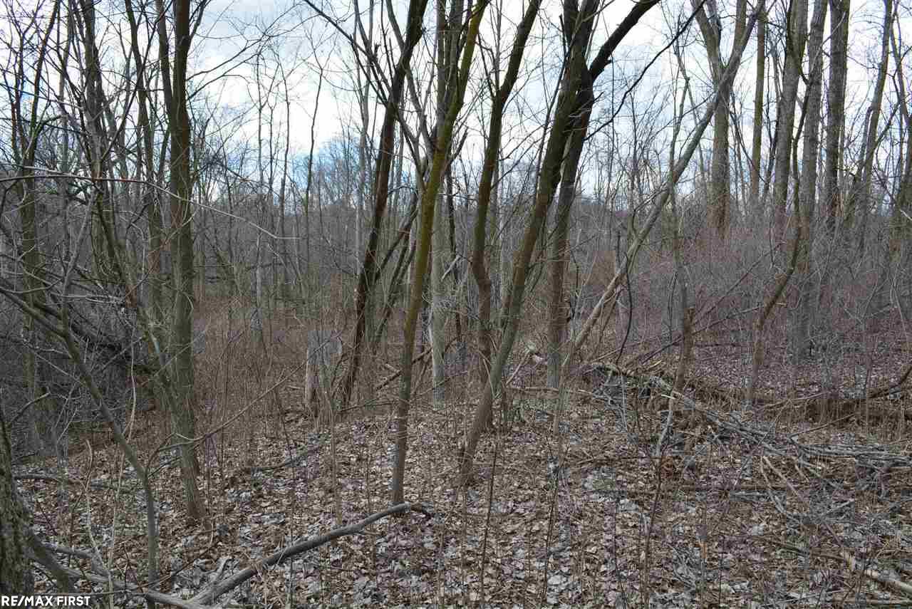 0 Jewell Road Utica, MI 48315 - Photo 7 of 7