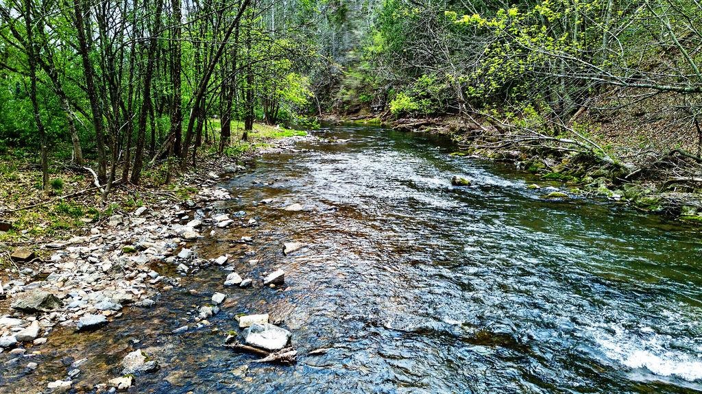 298 Hundley Distillery Road Churchville, VA 24421 - Photo 39 of 48