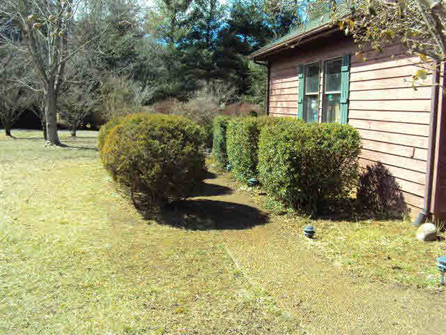 563 Seawright Springs Road Mount Sidney, VA 24467 - Photo 3 of 7 Gallery Image 3