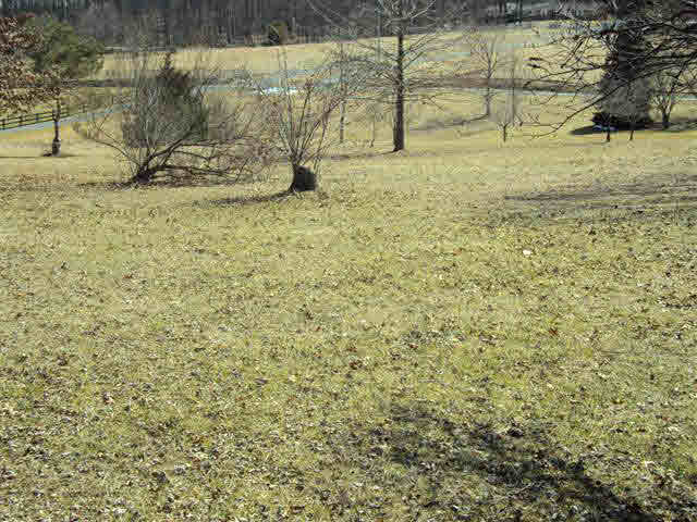 563 Seawright Springs Road Mount Sidney, VA 24467 - Photo 4 of 7 Gallery Image 4