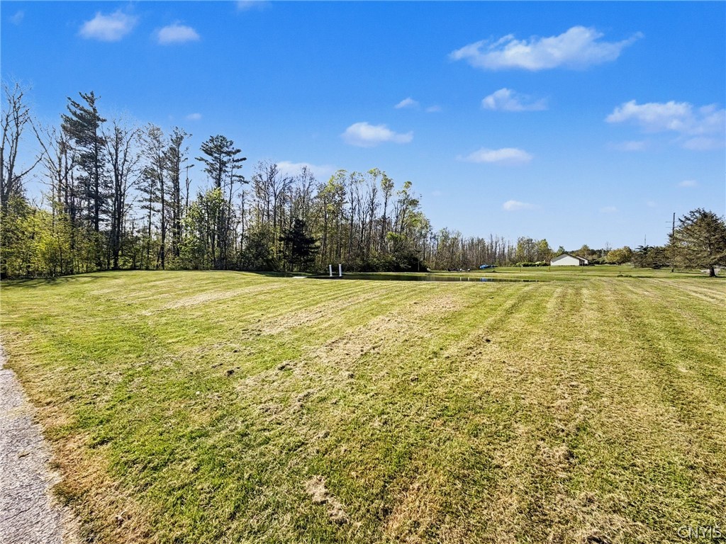 2254 Hanshaw Road Dryden, NY 13068 - Photo 7 of 47 Yard