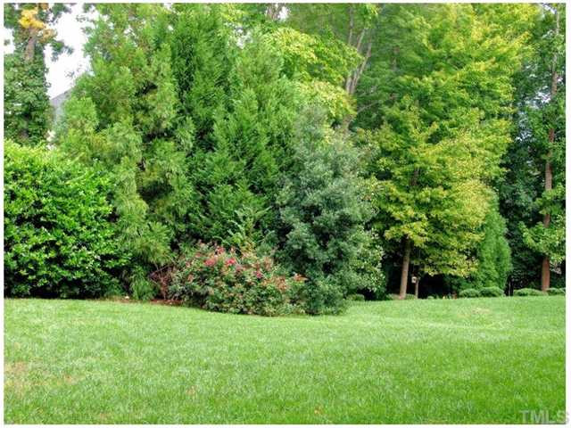 13117 Sargas Street Raleigh, NC 27614 - Photo 2 of 3 Back Yard