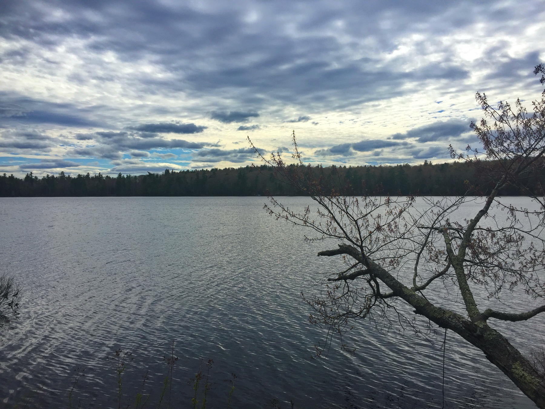 40 Moose Pond Road Otisfield, ME 04270 - Photo 11 of 12 IMG_4457