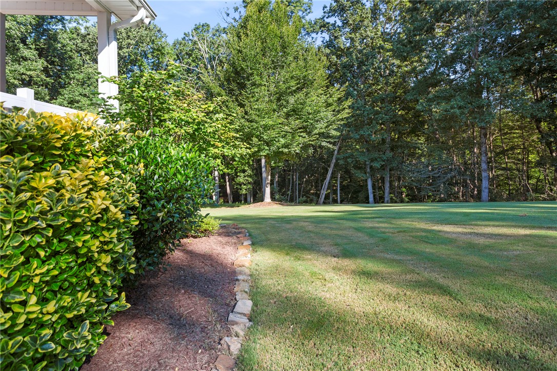 645 State Rd S-37-54 Seneca, SC 29678 - Photo 5 of 36 Mulched & Mowed