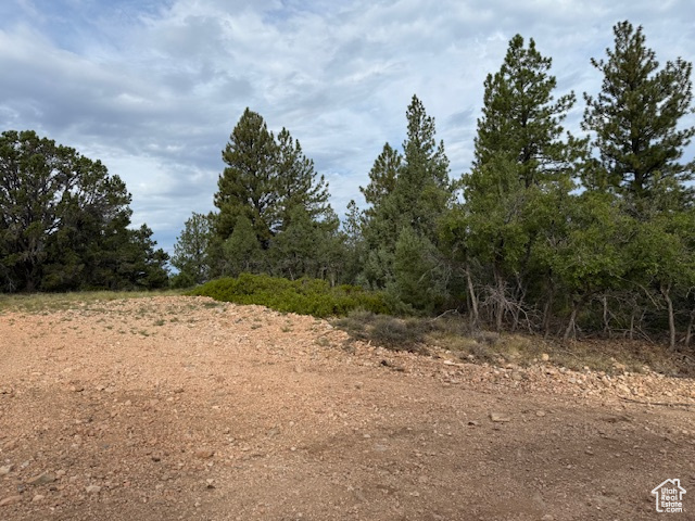 Crest Court Alton, UT 84710 - Photo 2 of 17 View of undeveloped land