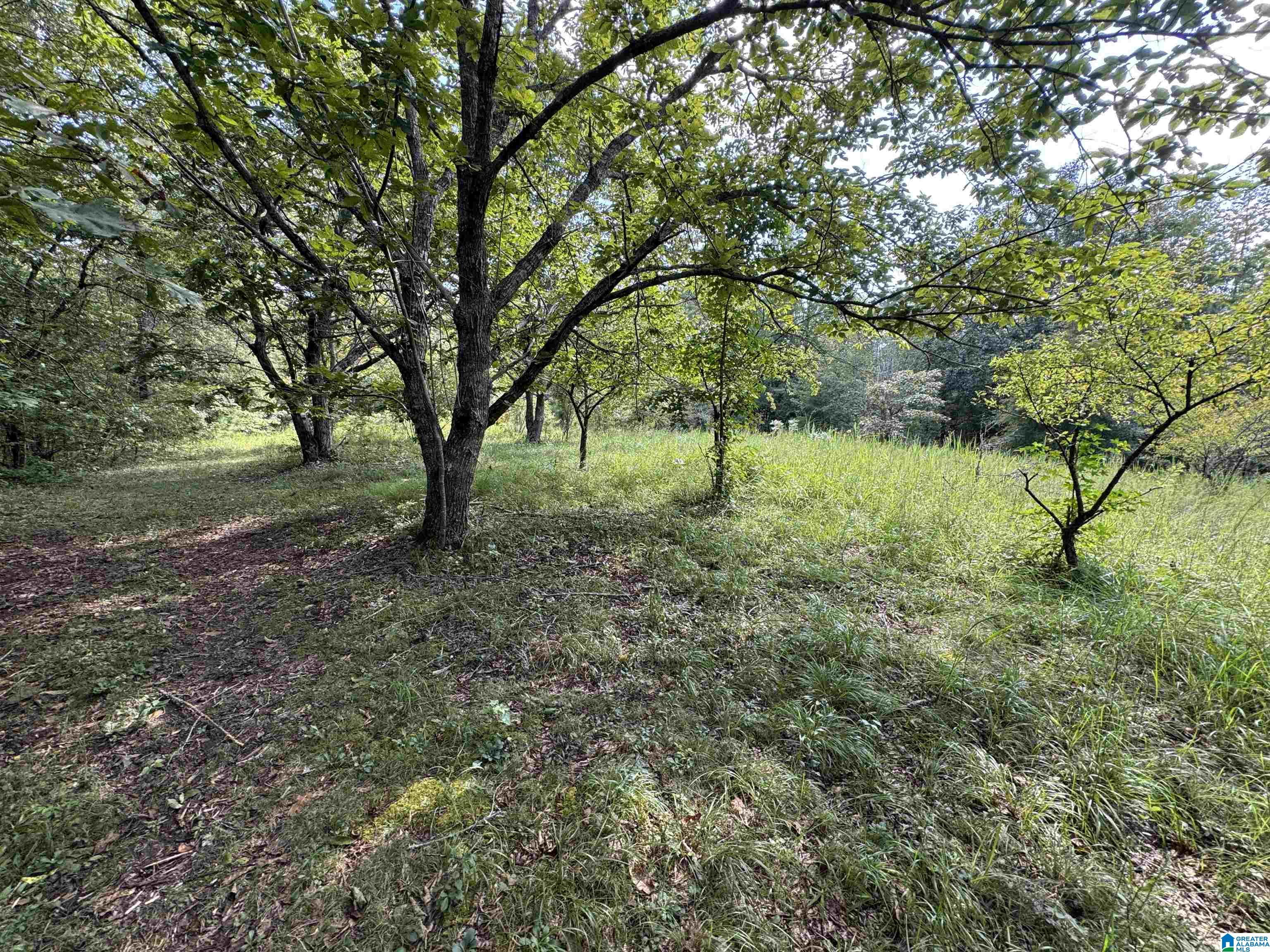 20394 County Road 55 Sterrett, AL 35147 - Photo 23 of 43