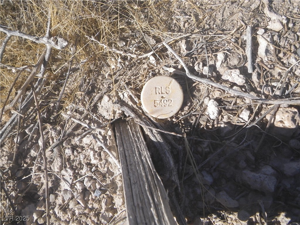 8690 Homestead Road Pahrump, NV 89048 - Photo 13 of 13