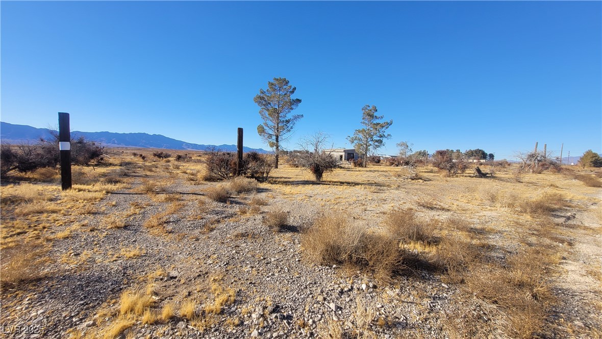 8690 Homestead Road Pahrump, NV 89048 - Photo 7 of 13