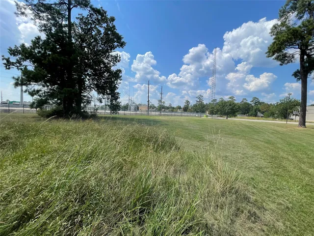 a view of yard with green space