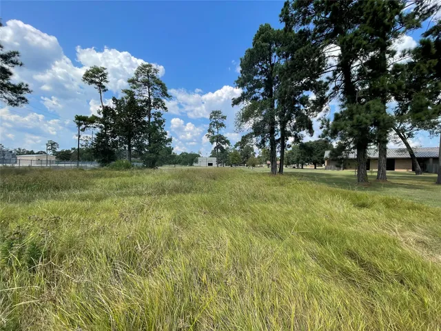 a view of a big yard with a fountain