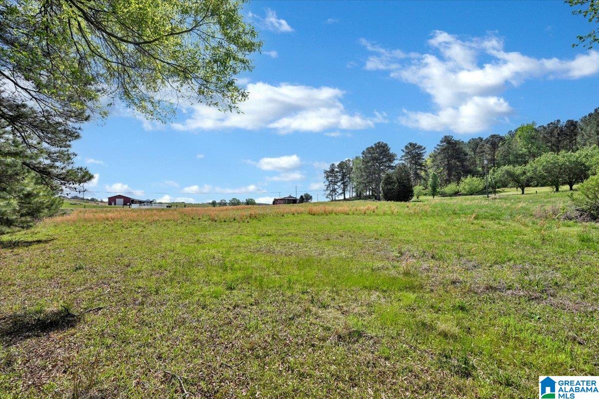 Jones Road Dora, AL 35062 - Photo 7 of 11 Gallery Image 7