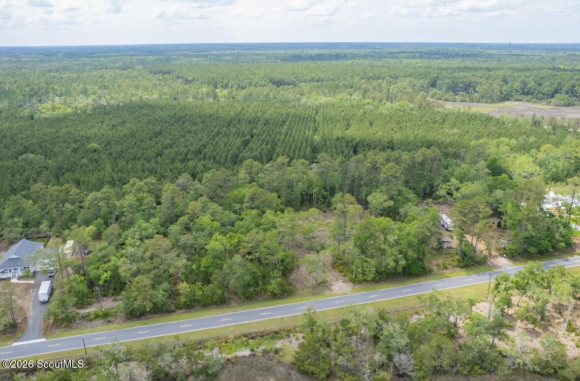 0 Piney Bluff Road Waverly, GA 31565 - Photo 16 of 26 IMG_9115