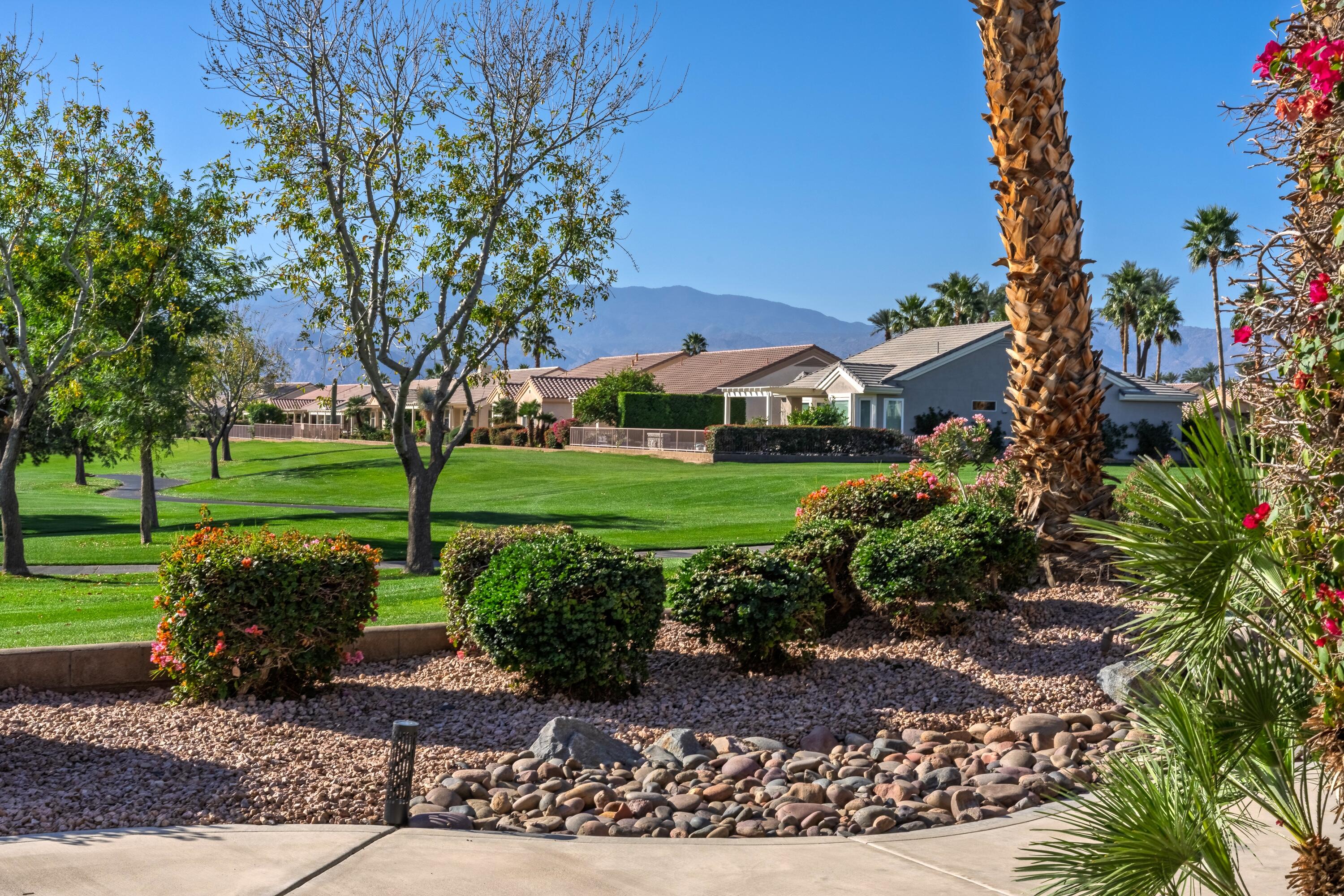 35440 Moorbrook Road Palm Desert, CA 92211 - Photo 5 of 32 a view of a park with large trees