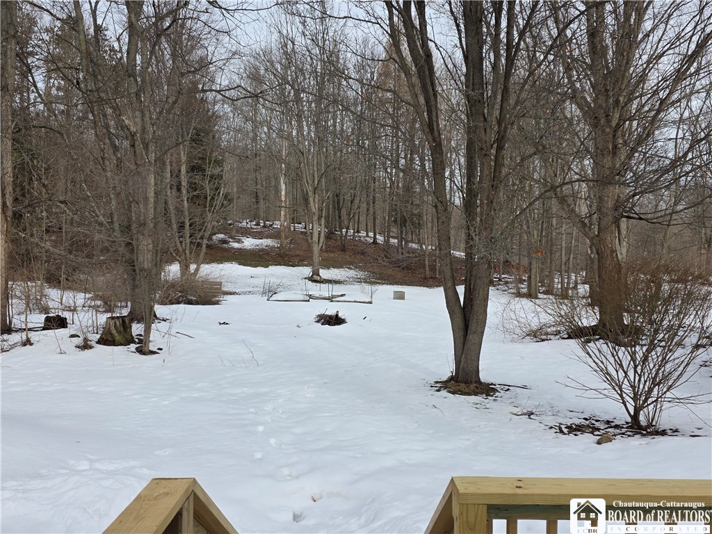 6720 Moore Road Chautauqua, NY 14757 - Photo 8 of 50