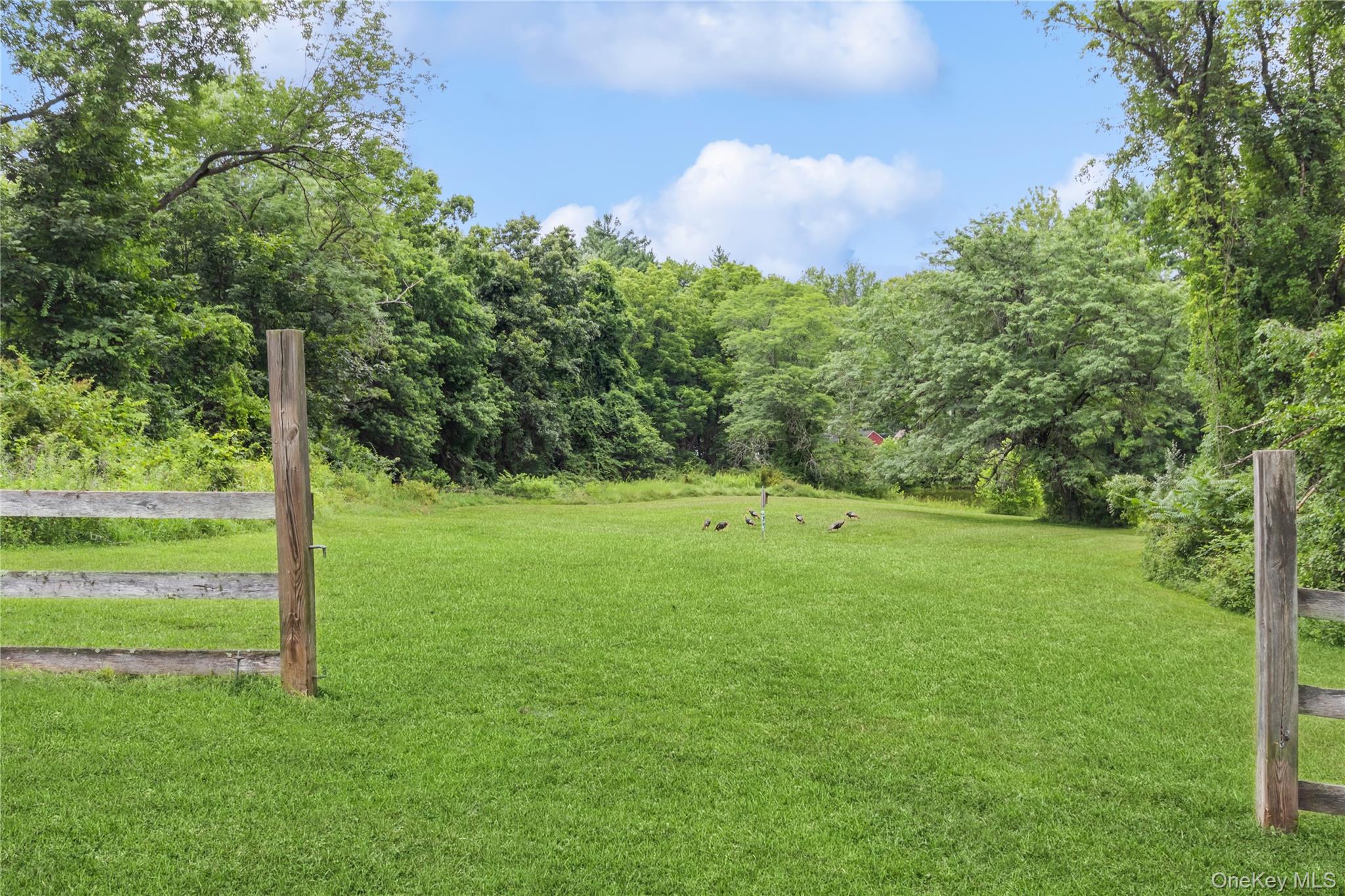 93 Widmer Road Wappingers Falls, NY 12590 - Photo 45 of 45 7.7 acres. possible horse property, pasture area, partial wood fencing