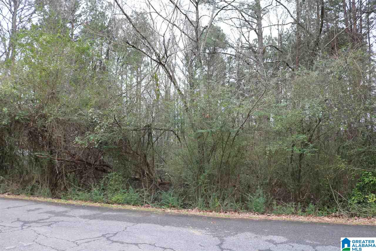 7697 Bluff Ridge Road, Unit 40 Bessemer, AL 35022 - Photo 1 of 1