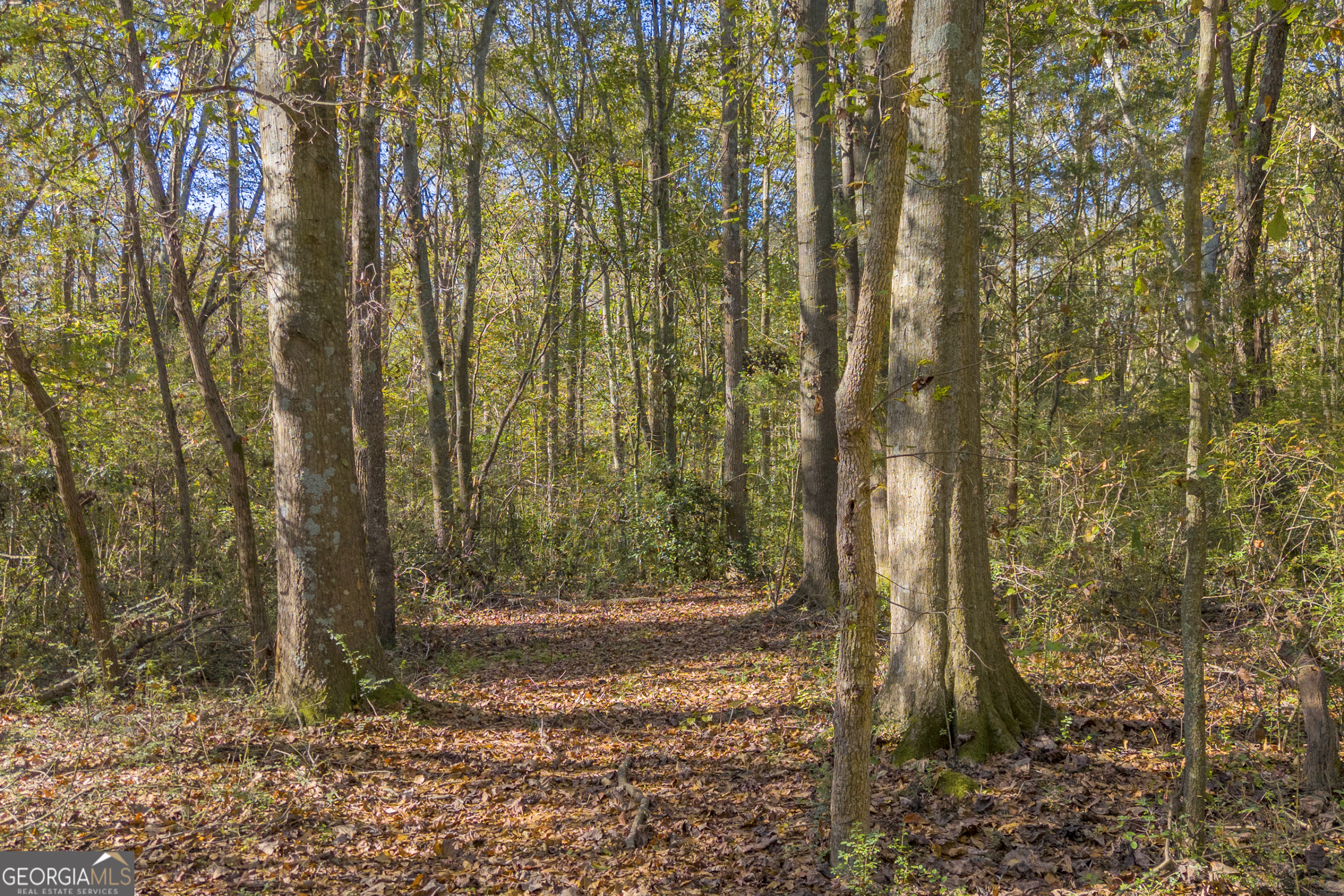 0 Rice Creek Road Canon, GA 30520 - Photo 7 of 37