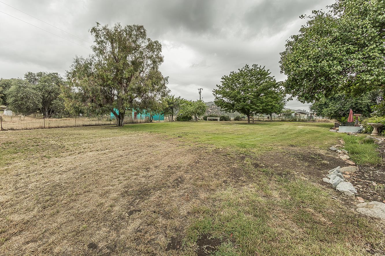 29545 Oak Meadow Road Tollhouse, CA 93667 - Photo 41 of 69 a view of a field with trees in the background