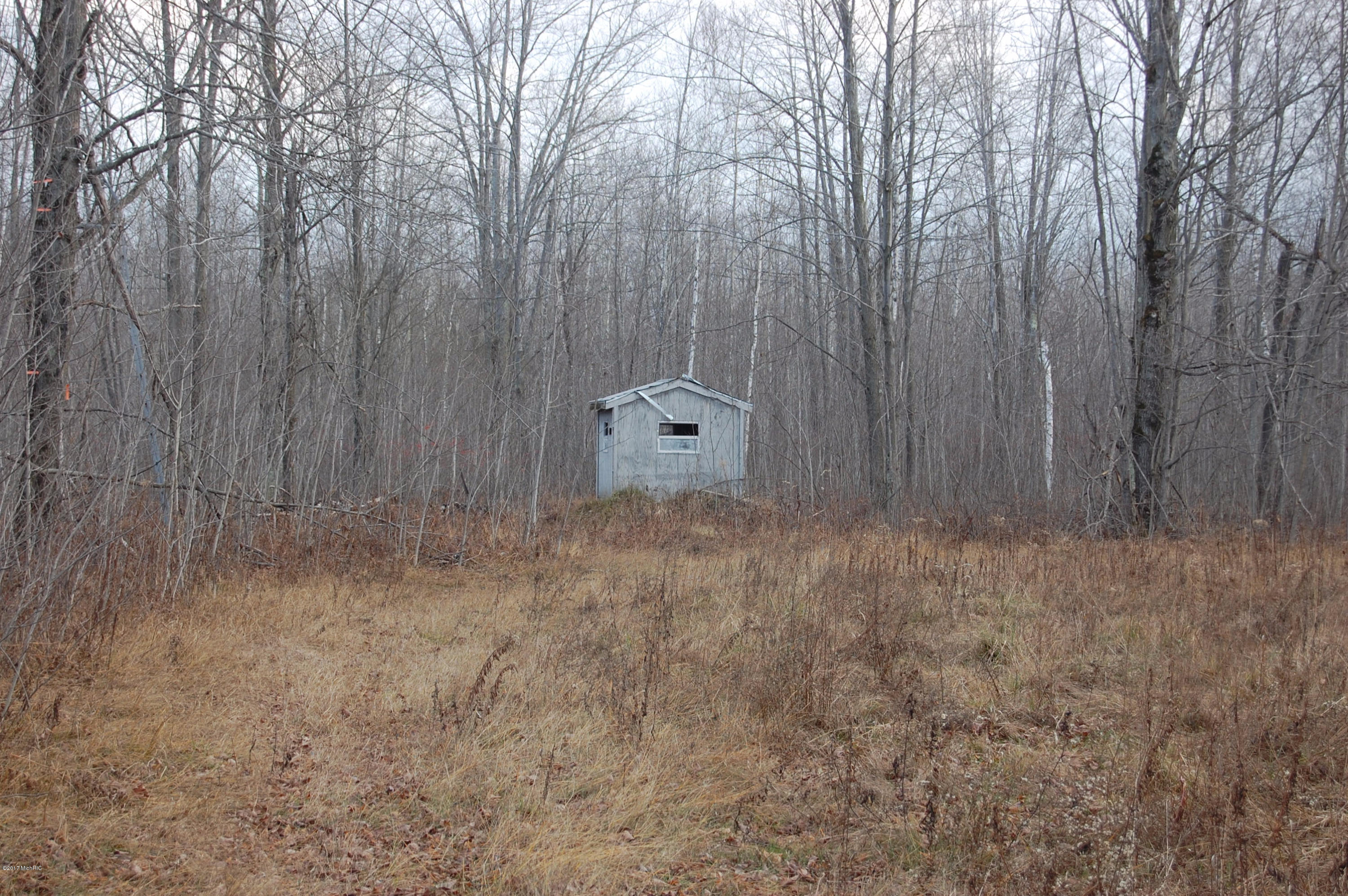615 South Hawkins Road Gladwin, MI 48624 - Photo 10 of 10 DSC_2356