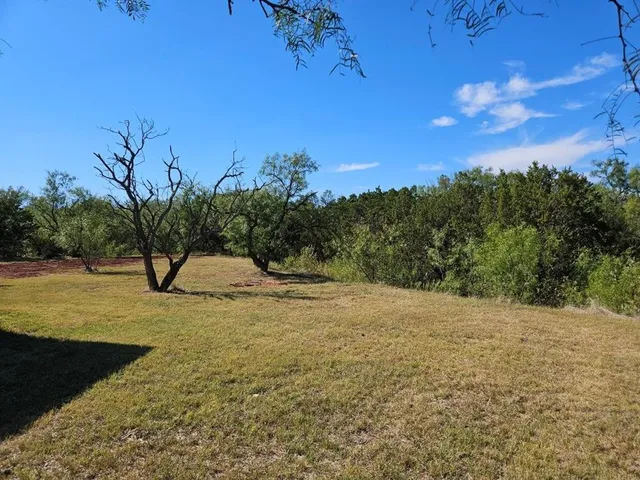 a view of backyard of house with green space