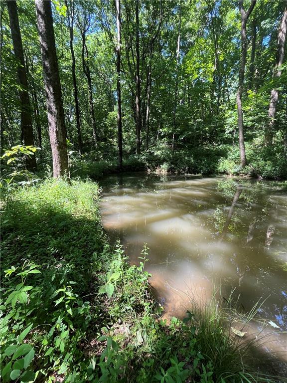 0 Monument Road Jasper, GA 30143 - Photo 4 of 9