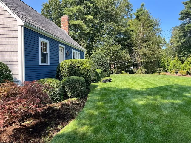 a view of a house with a yard and plants