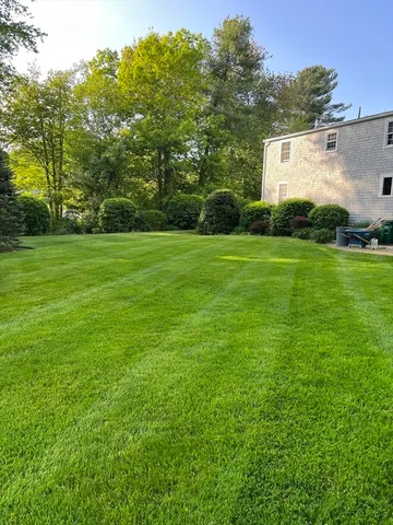 a view of a back yard