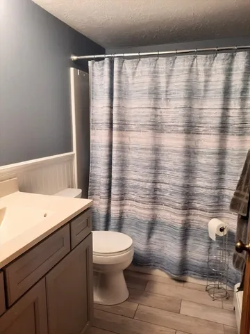 a bathroom with a sink and a toilet