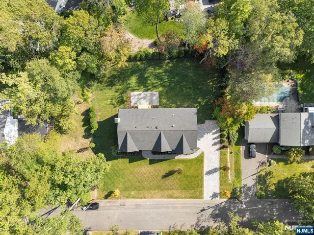 a view of a park with large trees