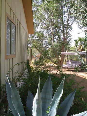 11095 West Massingale Road Tucson, AZ 85743 - Photo 3 of 9