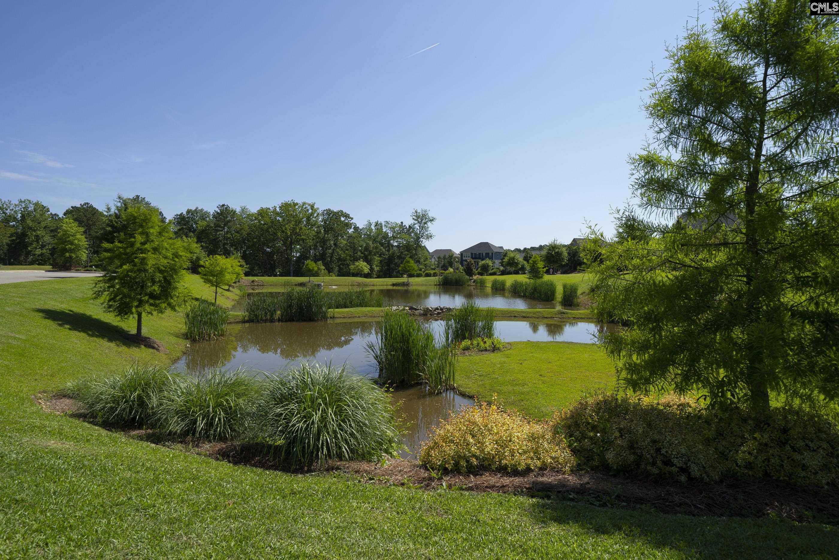 515 Malachite Lane Chapin, SC 29036 - Photo 62 of 63 a view of a lake with houses in the back