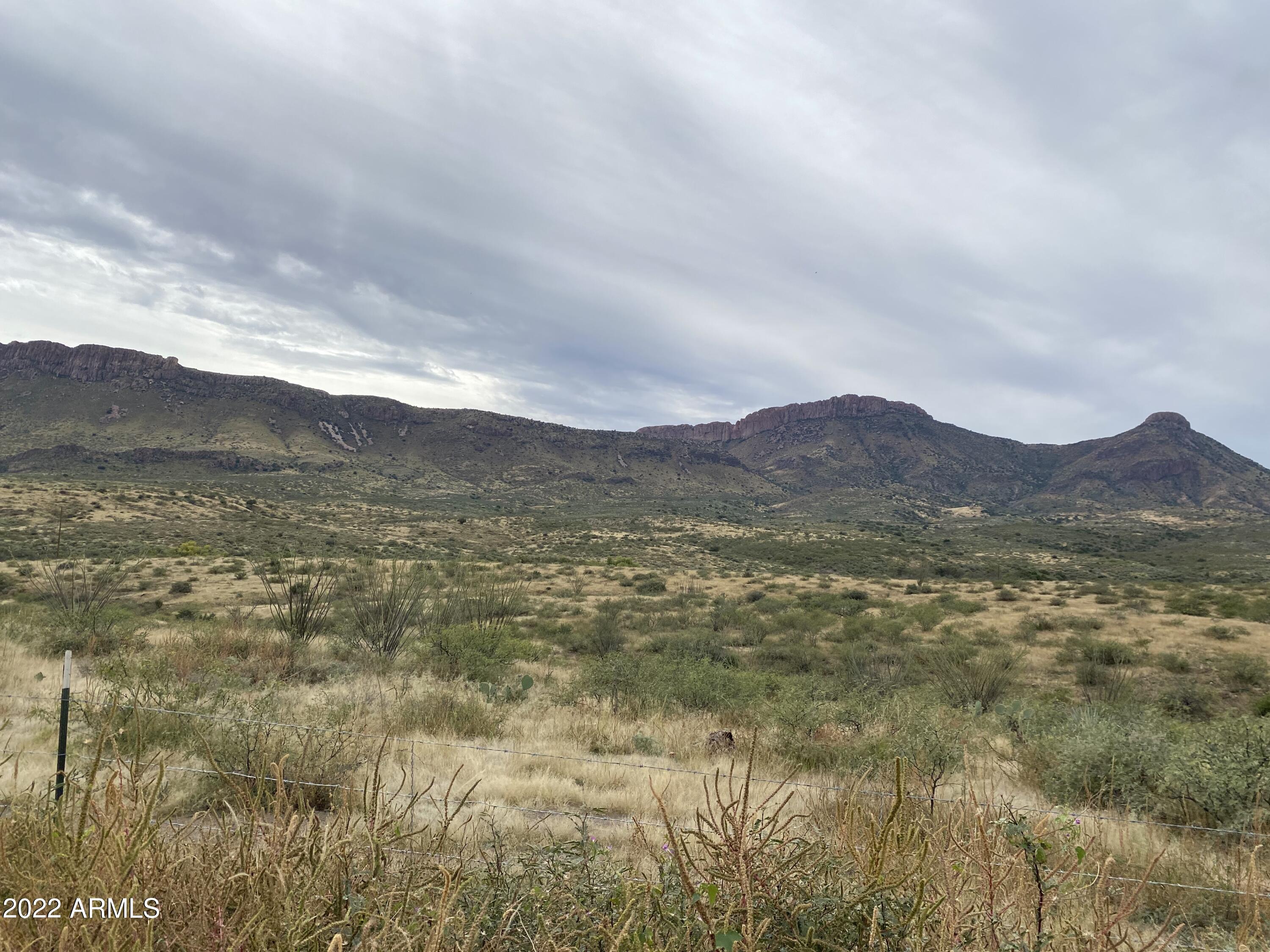 4455 East Hummingbird Road, Unit 74 Douglas, AZ 85607 - Photo 16 of 20 IMG_0993