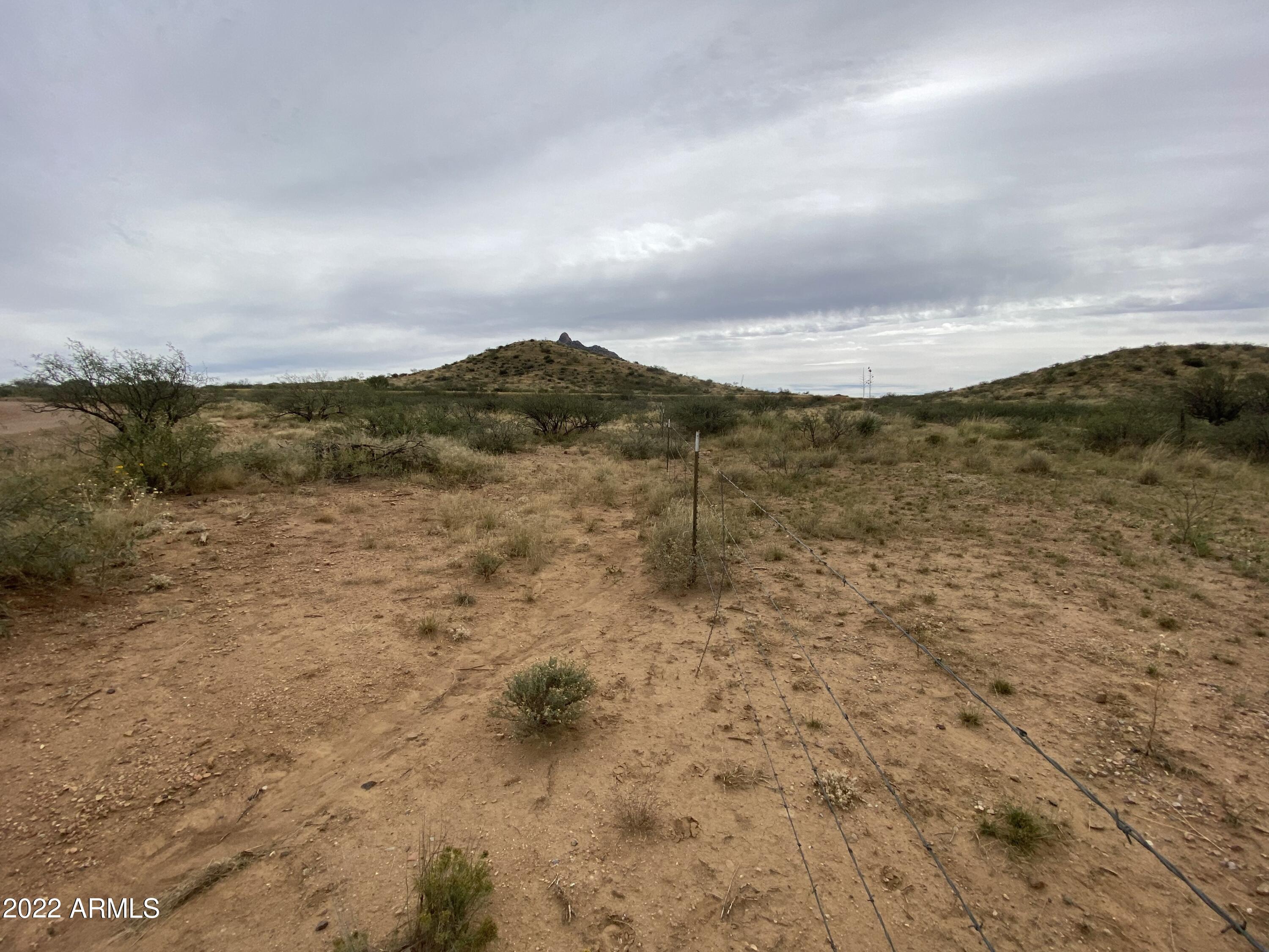 4455 East Hummingbird Road, Unit 74 Douglas, AZ 85607 - Photo 8 of 20 IMG_0965