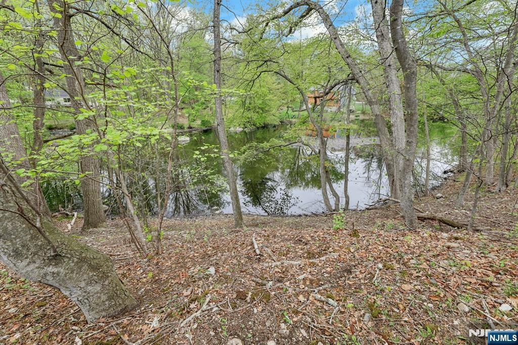 1138 High Mountain Road Franklin Lakes, NJ 07417 - Photo 40 of 41