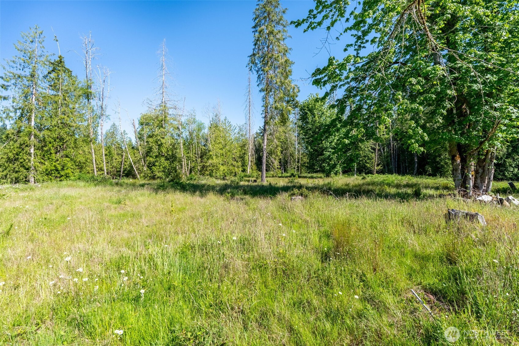 0 Chilvers Road Chehalis, WA 98532 - Photo 38 of 40
