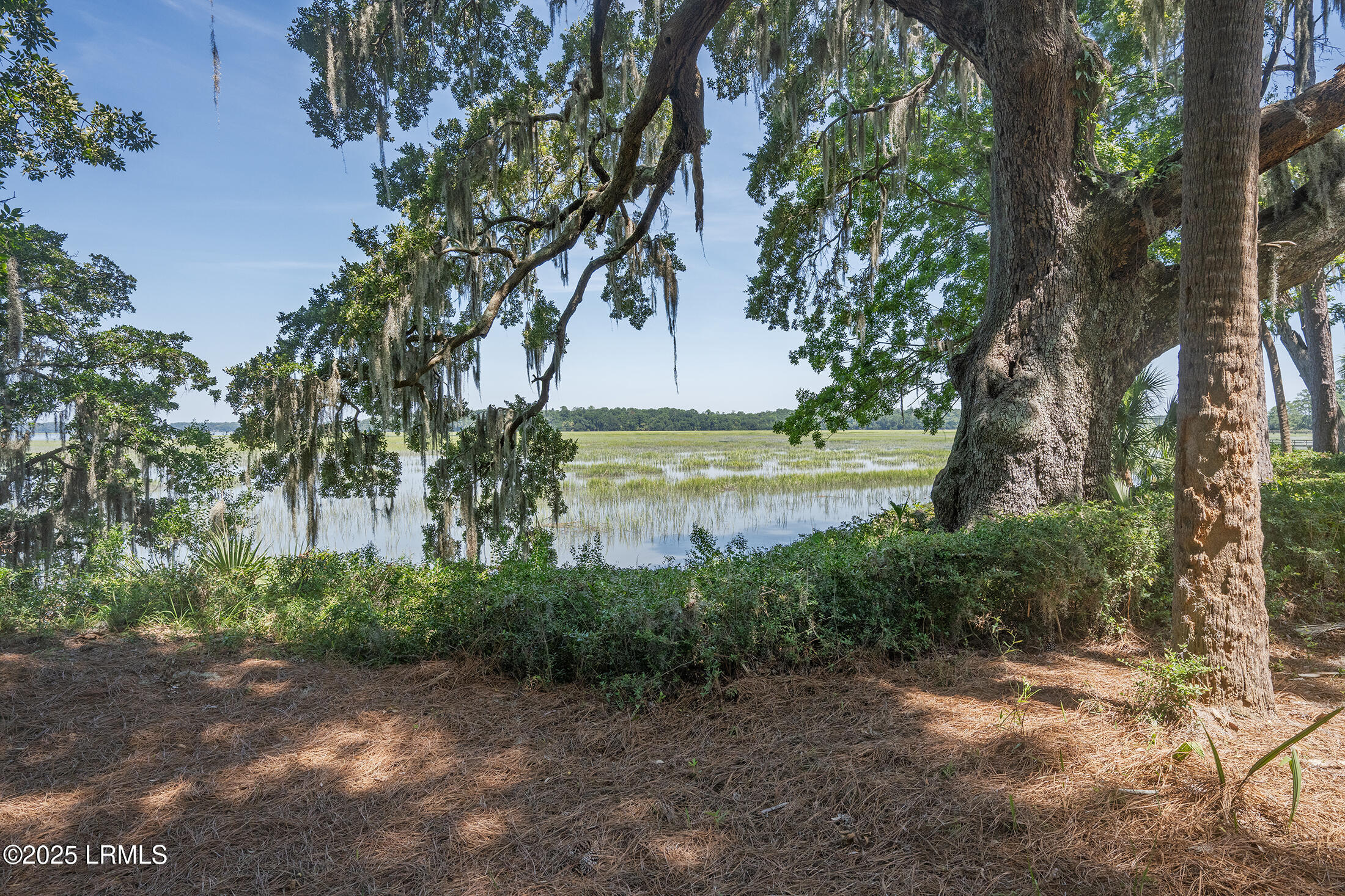 4 Tabby Point Lane Okatie, SC 29909 - Photo 48 of 52 DSC_2741 copy