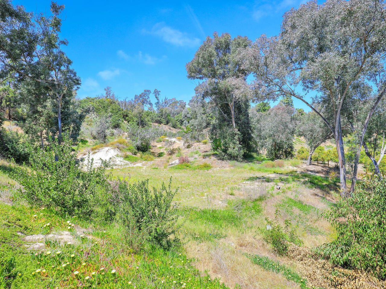 4807 Linea Del Cielo Rancho Santa Fe, CA 92014 - Photo 24 of 25