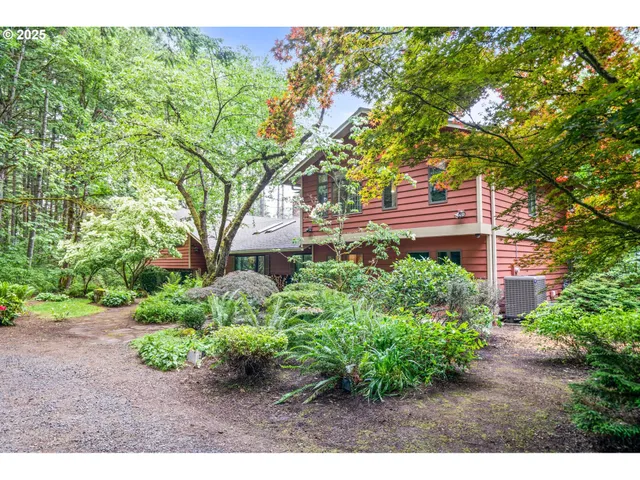 a backyard of a house with a garden and plants