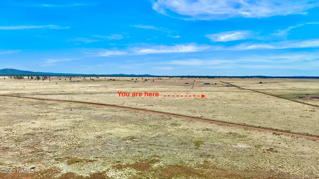 a view of an ocean beach
