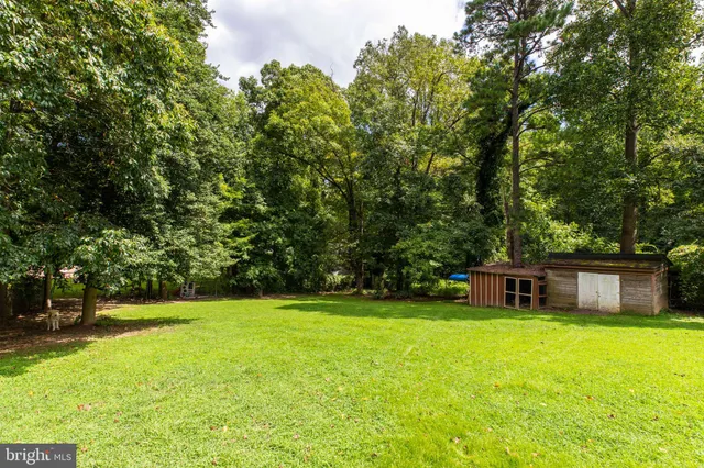 a view of a park with large trees