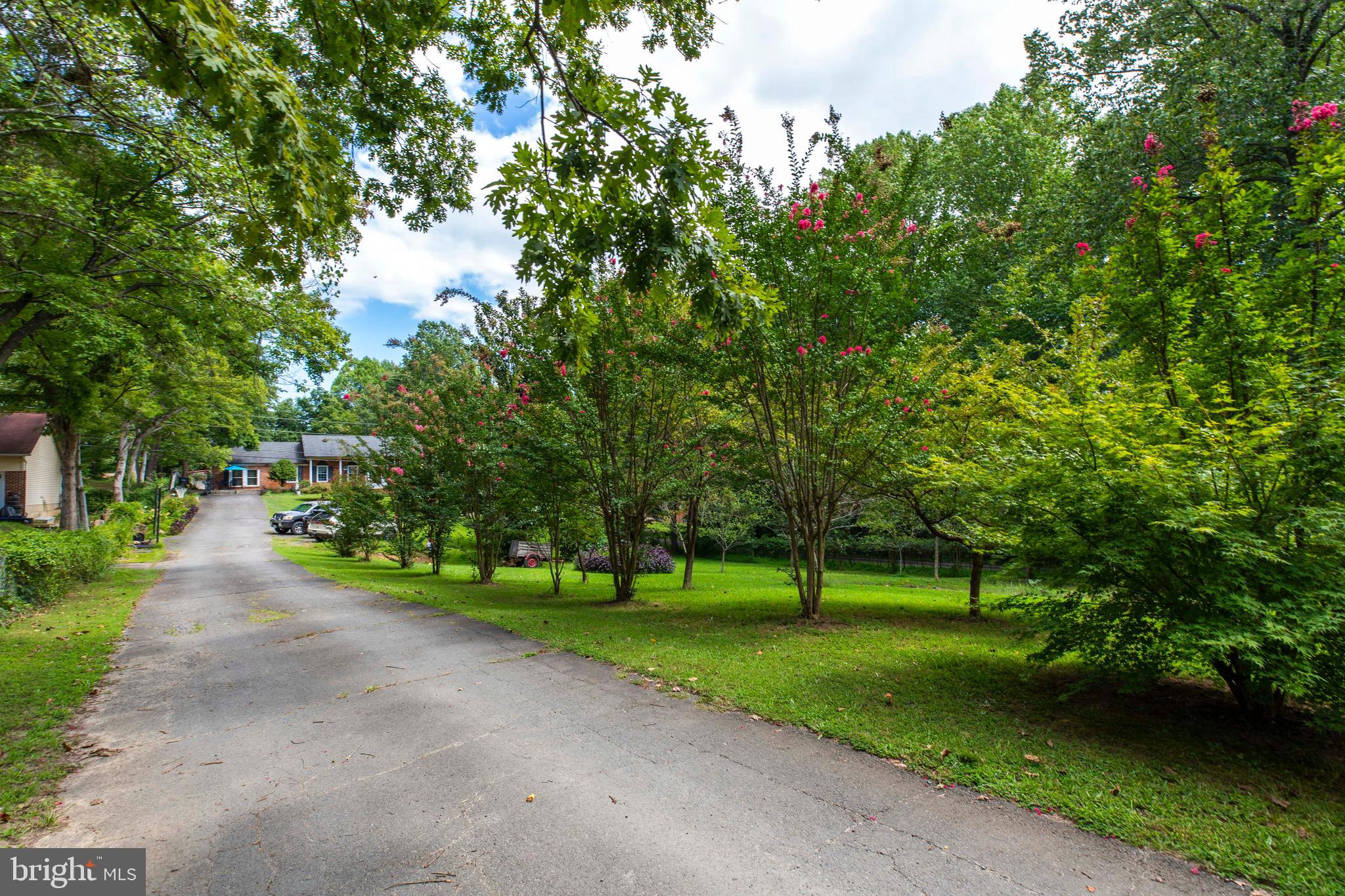 10009 Bent Tree Lane Manassas, VA 20111 - Photo 41 of 41 a view of a park with large trees